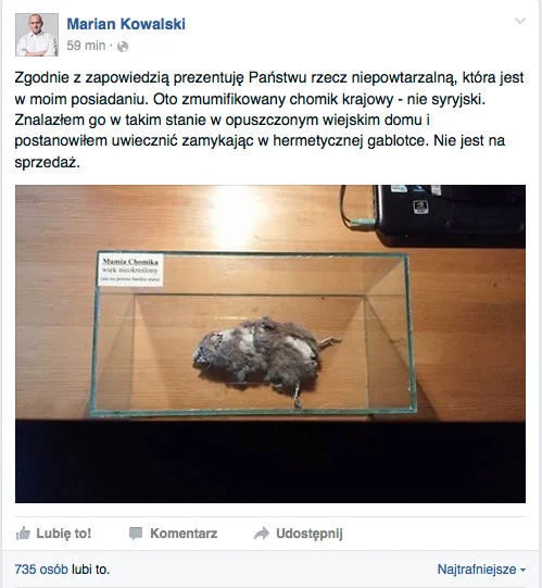 Zdjęcie chomika na fan page'u Mariana Kowalskiego