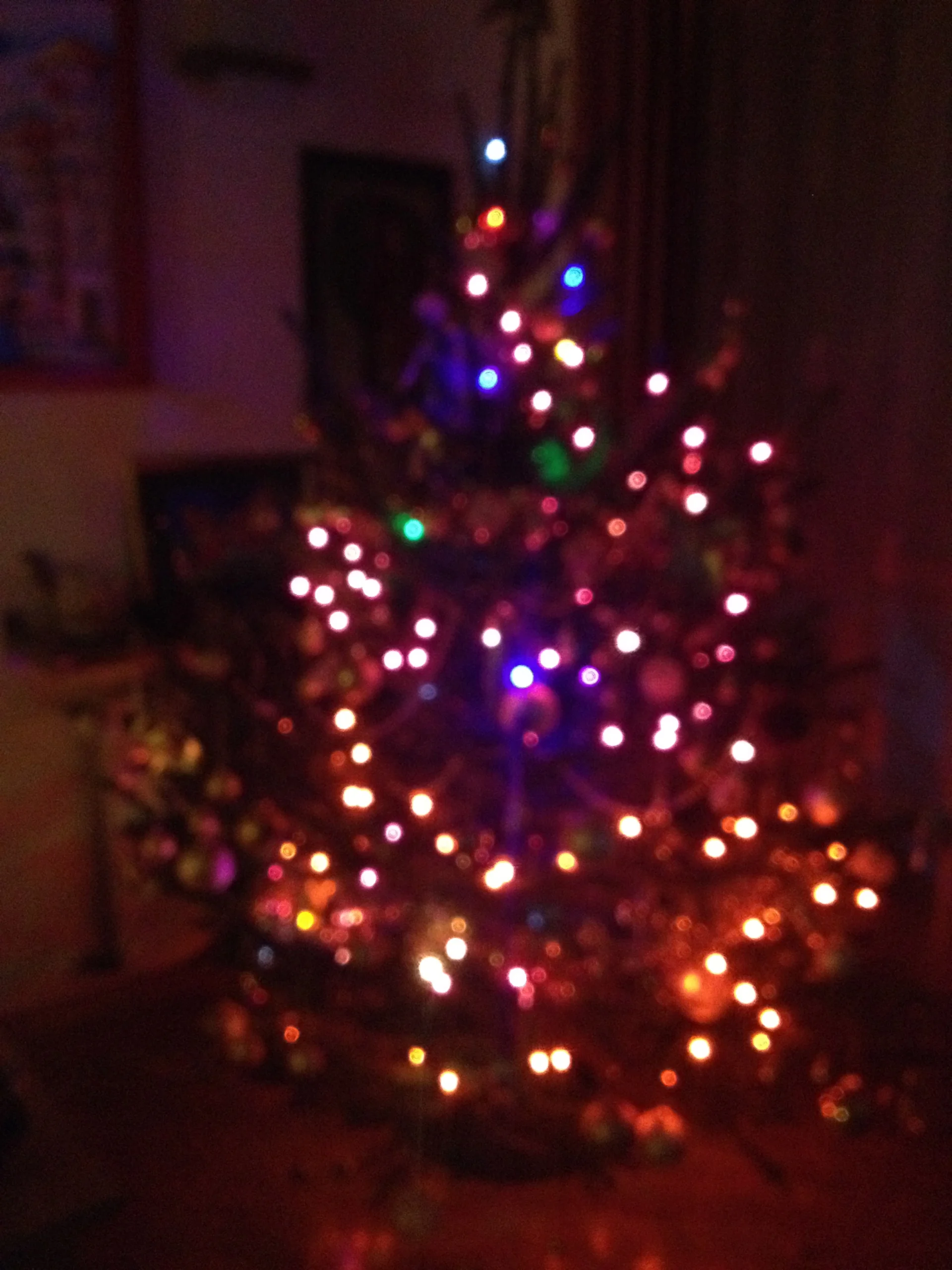 Choinka 2013