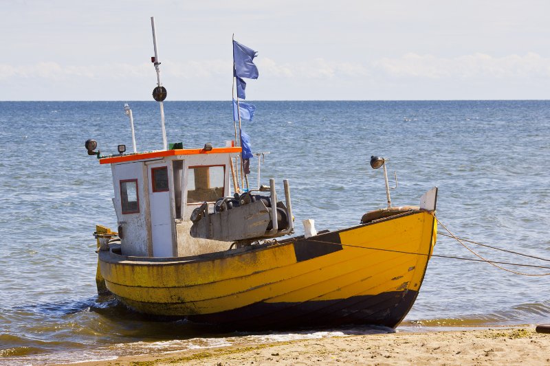 Polscy rybacy chcą zamknąć Bałtyk do połowów.