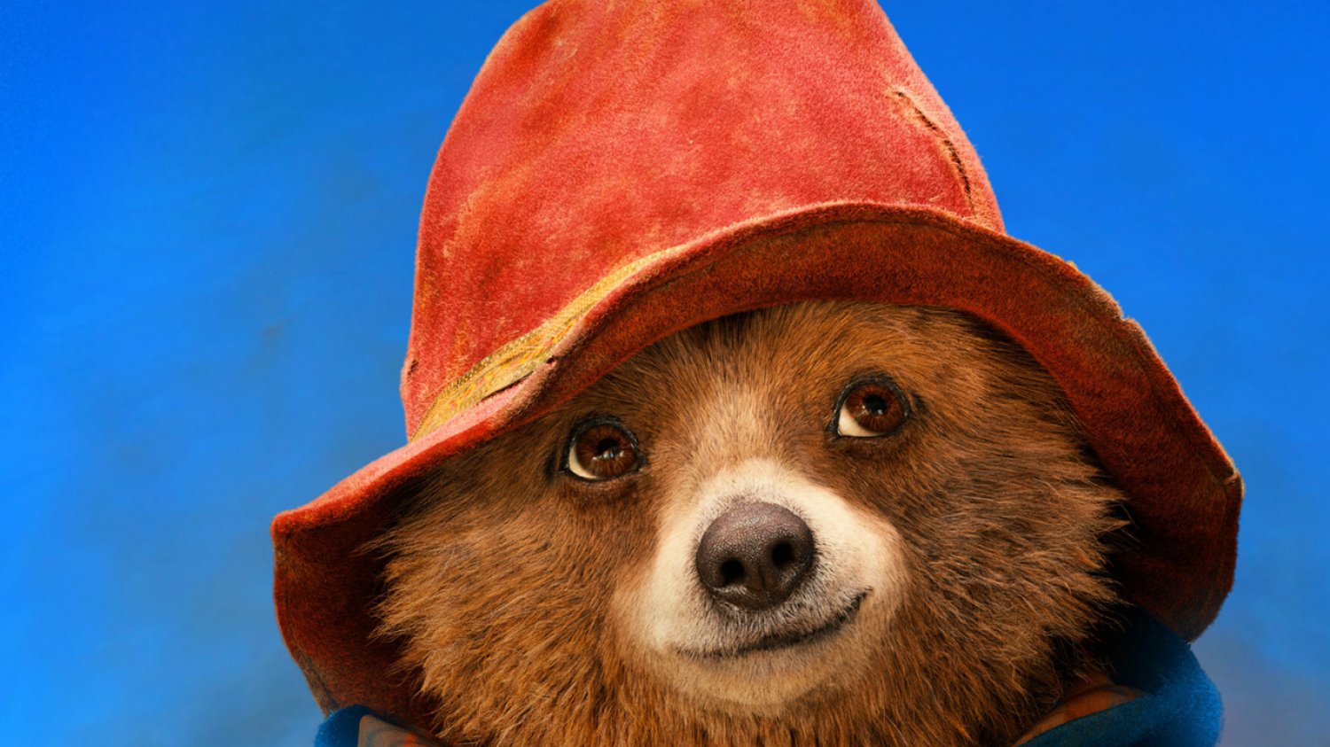Premiera musicalu o misiu Paddingtonie już niebawem.