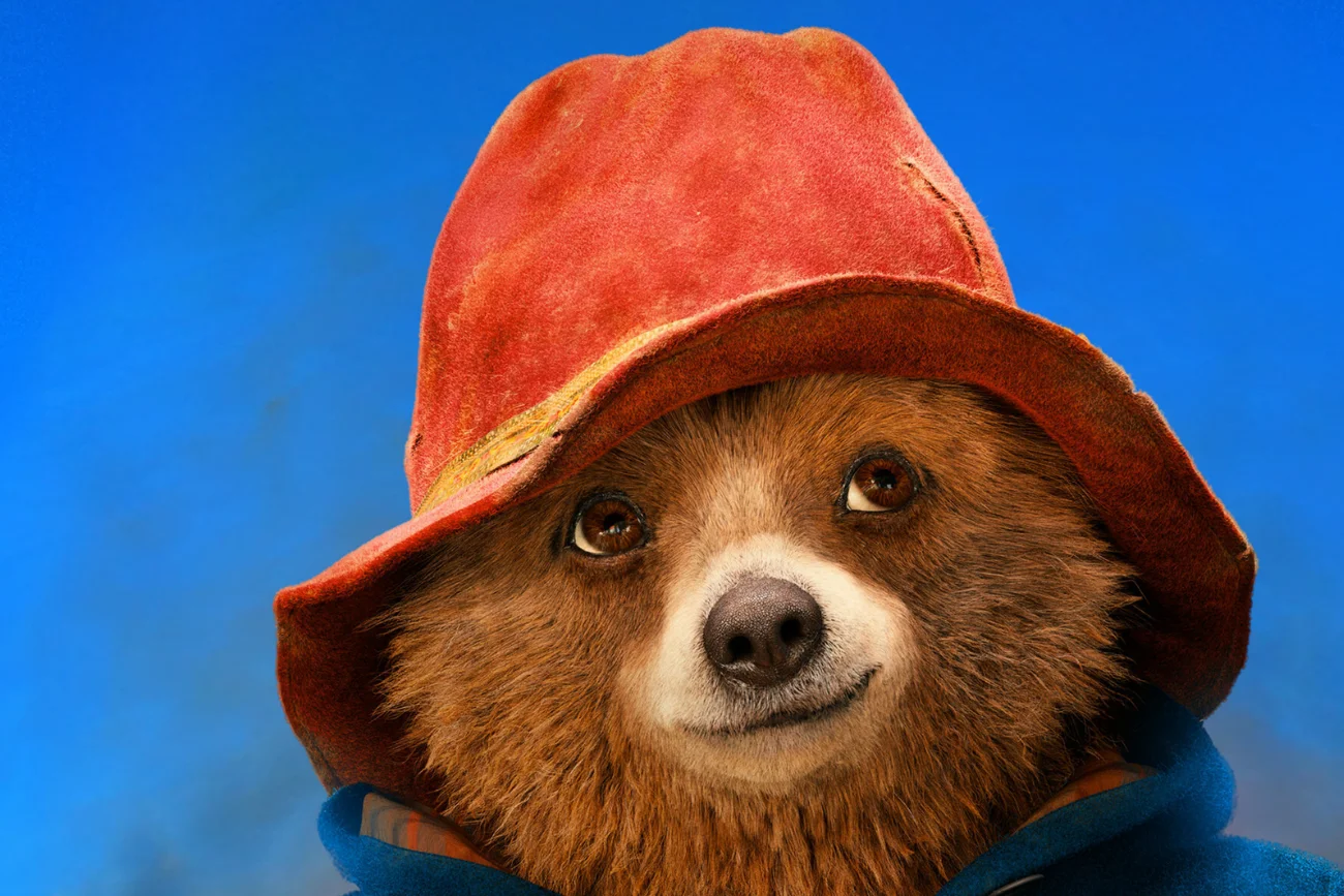 Premiera musicalu o misiu Paddingtonie już niebawem.