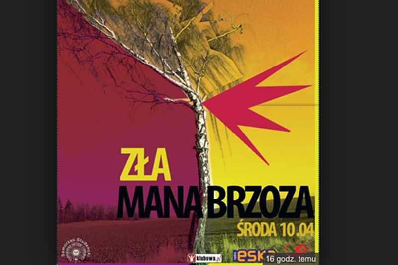 Złamana brzoza na plakacie studenckiej imprezy