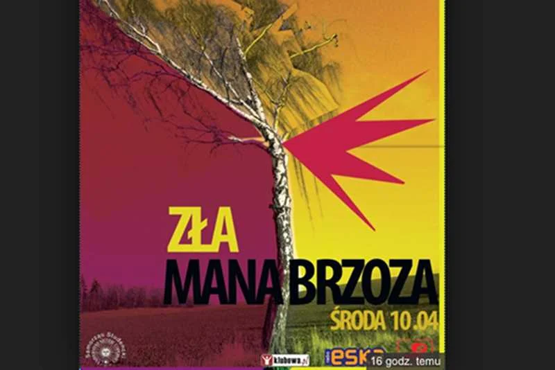 Złamana brzoza na plakacie studenckiej imprezy