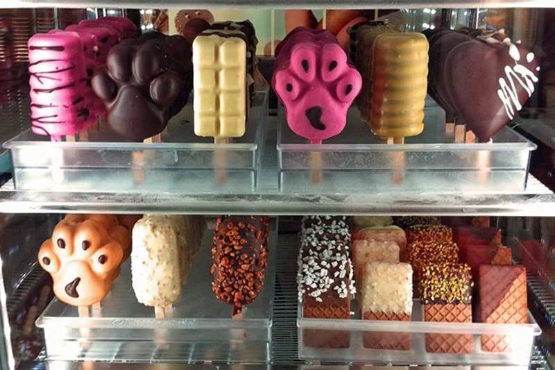 Lody na patyku. Do wyboru do koloru