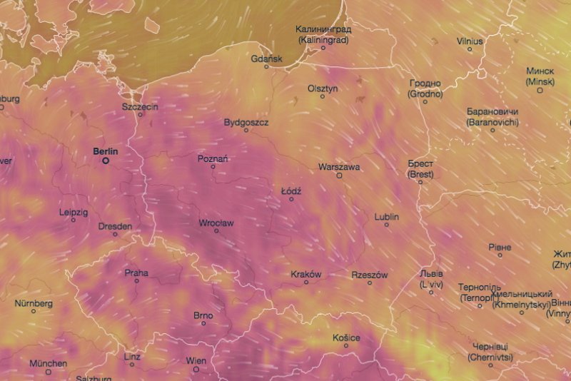 Ciepłe lato wróci lada moment.