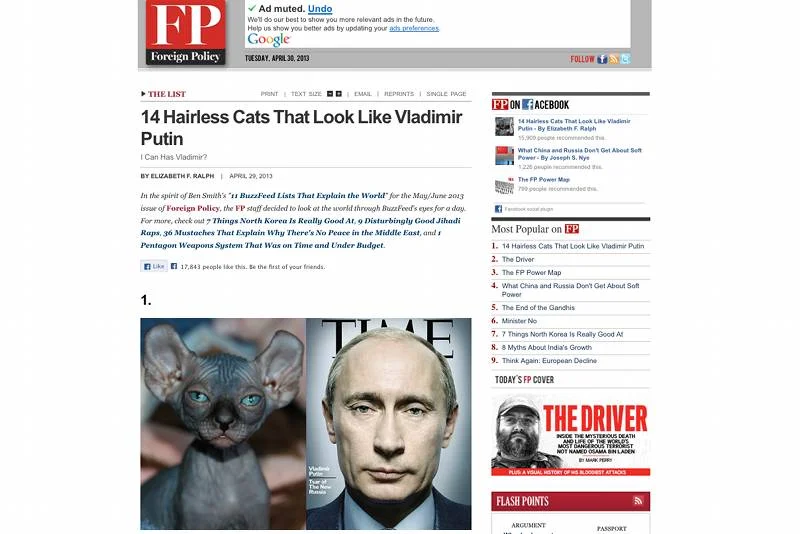 Jedno ze zdjęć prezentujących Putina i koty.