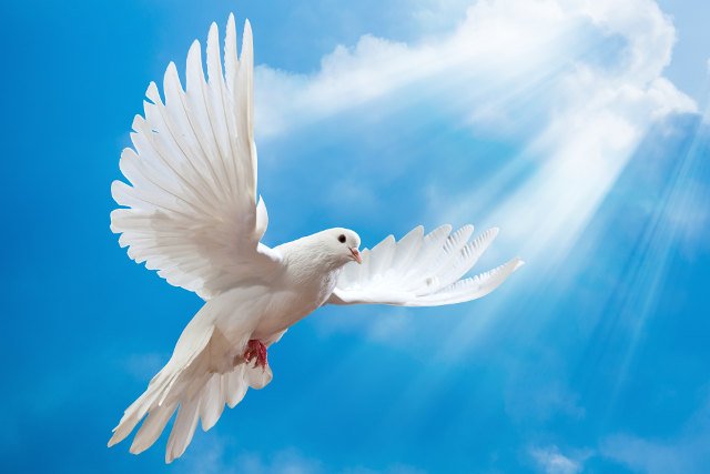 W tym roku Dzień Wolności Podatkowej przypada na 14 czerwca