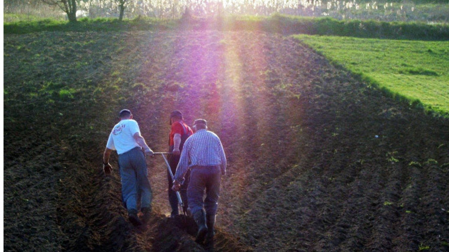Powrócą chłopi bez własnej ziemi, za to pracujący na kościelnych polach.