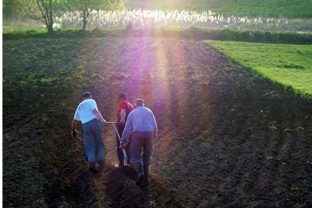 Powrócą chłopi bez własnej ziemi, za to pracujący na kościelnych polach.