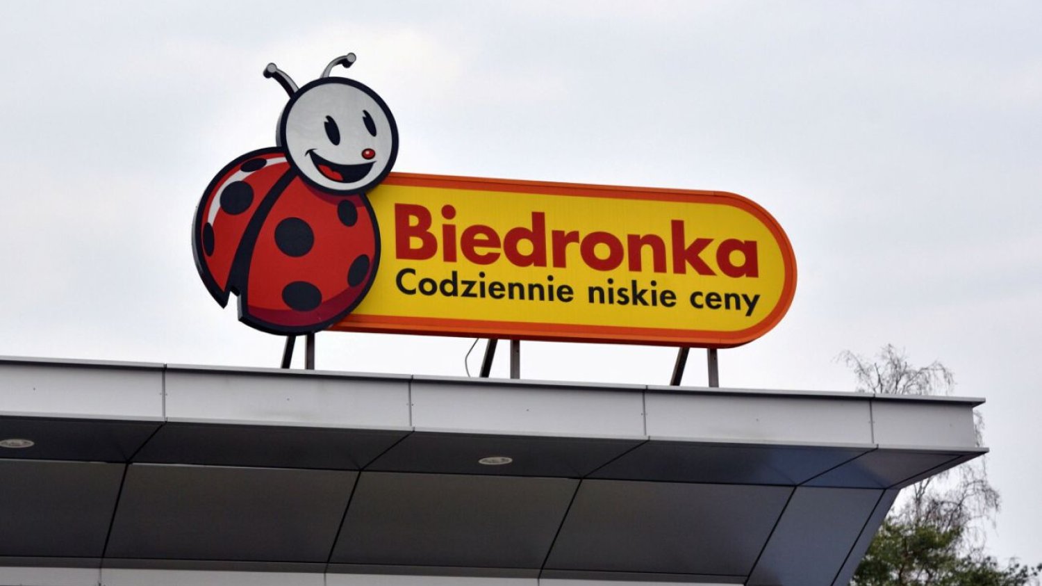 Polki pokochały te perfumy do prania. Pojawił się nowy wariant i to w korzystnej cenie. Polki kochają te perfumy do prania z Biedronki. Pachną jak zapach Channel.