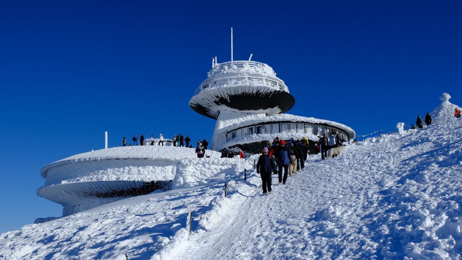 Aktor w samej bieliźnie wszedł na Śnieżkę. To chory trend w górach