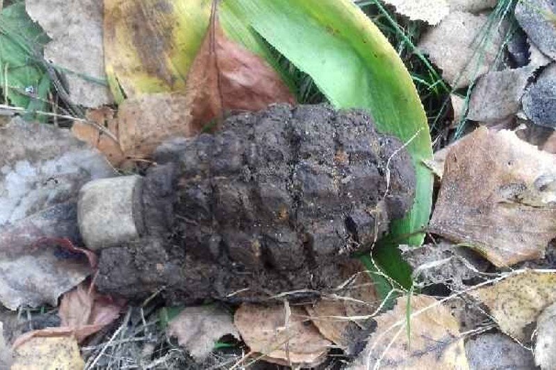 Po co grzybiarz wziął granat, nie wiadomo.