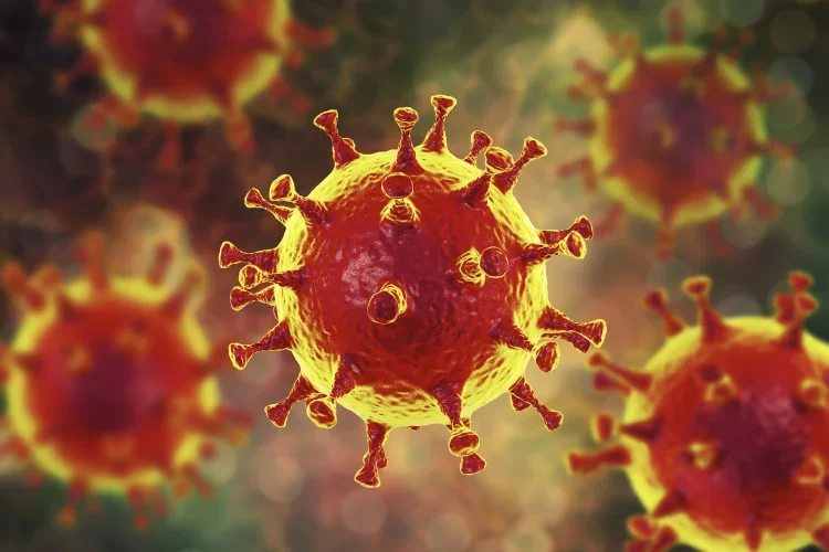 Jeden z wariantów genetycznych w chromosomie 3 ponad dwukrotnie zwiększa ryzyko ciężkiego przebiegu koronawirusa.