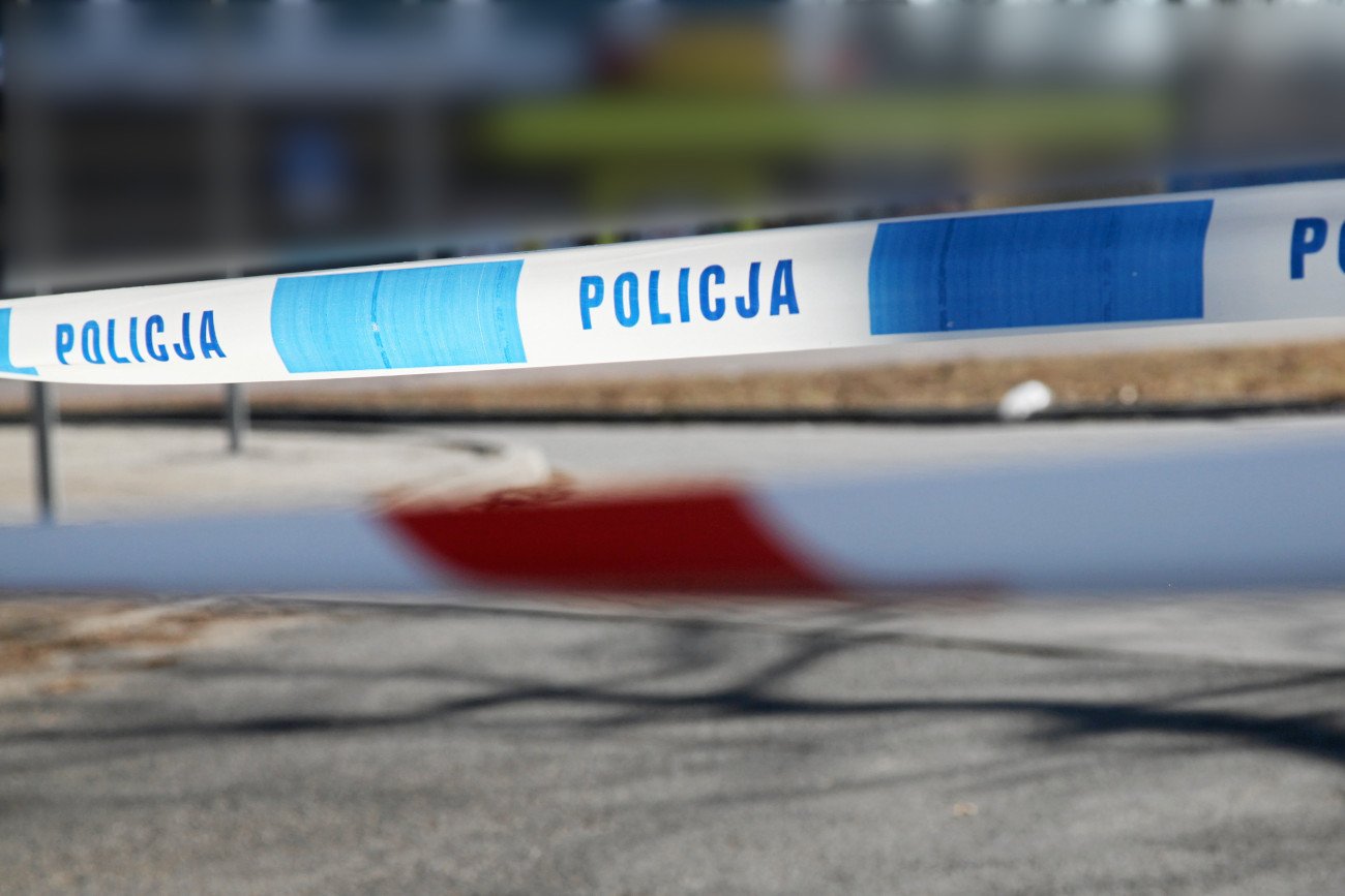 Zdjęcie jest ilustracją do tekstu.