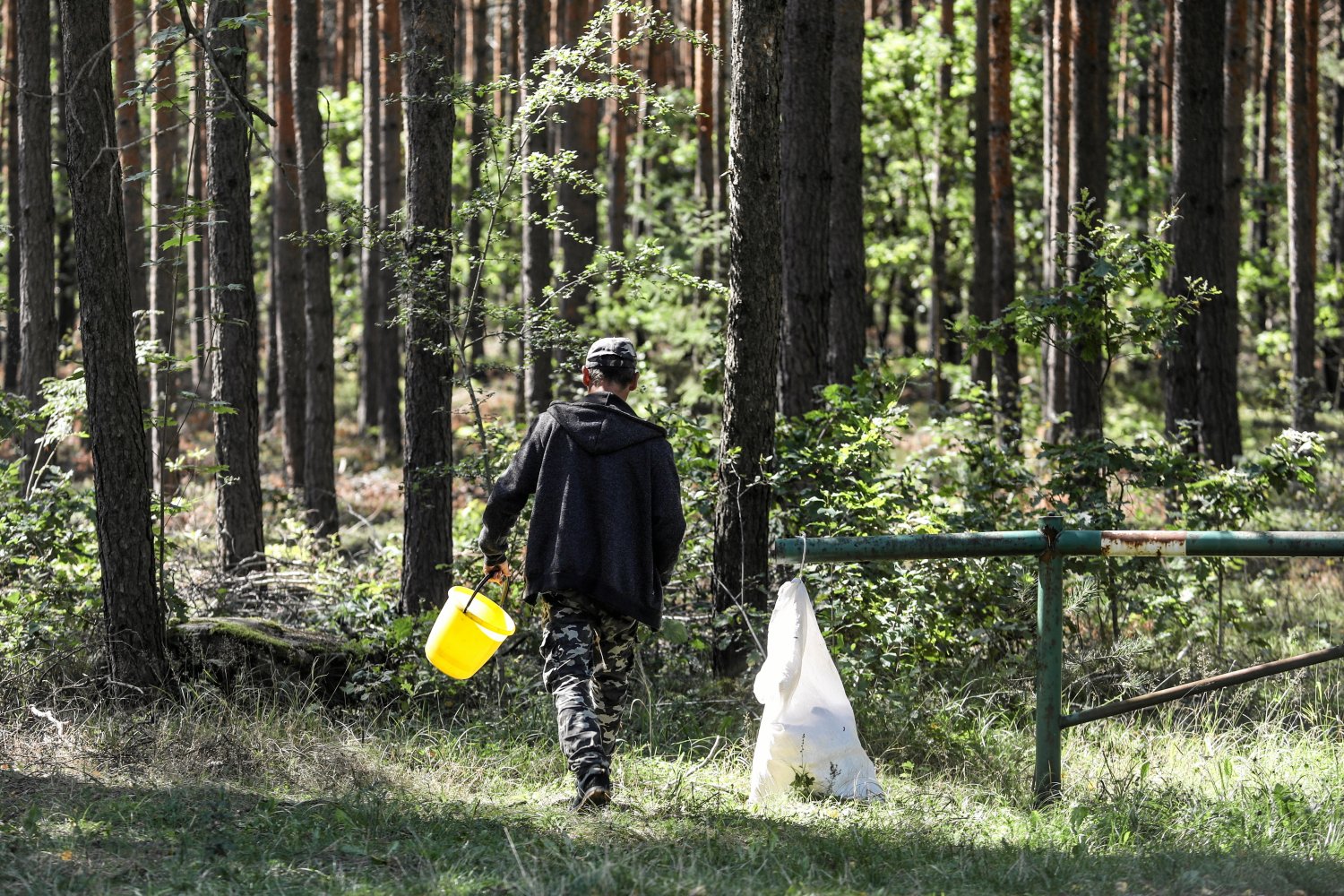 Gdzie nie wolno zbierać grzybów?