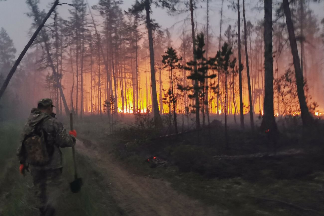 Pożary na Syberii w Rosji.