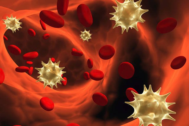 [url=http://www.shutterstock.com/pic-89245402/stock-photo-viruses-floating-among-erythrocytes.html?src=csl_recent_image-1]Przeszczep szpiku najprawdopodobniej może prowadzić do usunięcia HIV z ludzkiego organizmu[/url]
