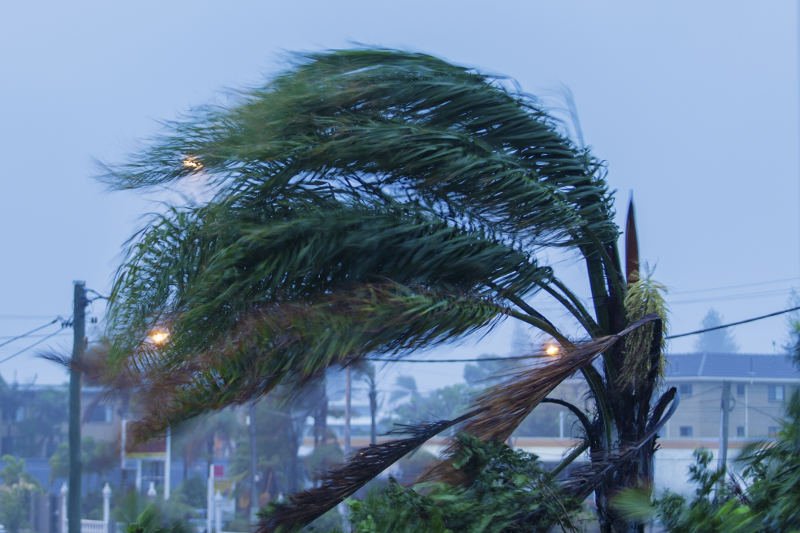 Co najmniej sto ofiar tajfunu na Filipinach. Haiyan zbiera krwawe żniwo