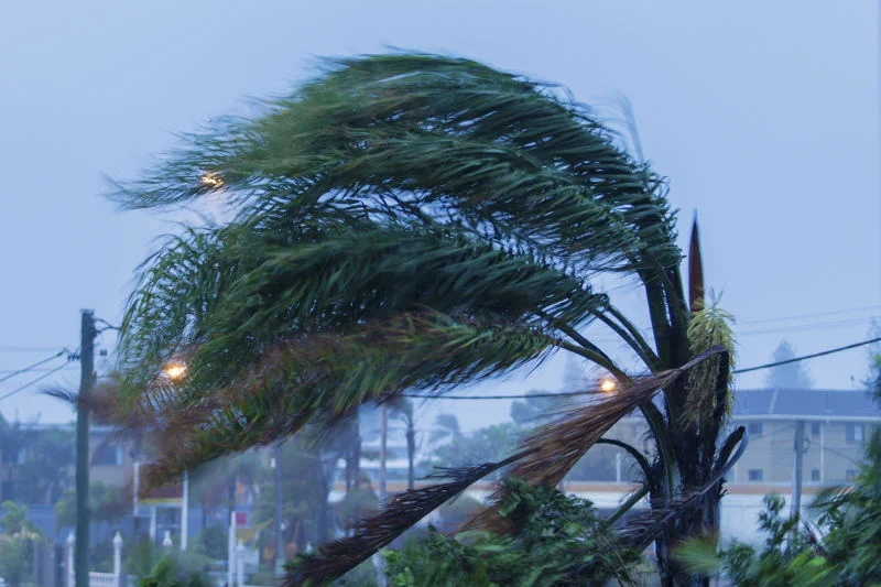 Co najmniej sto ofiar tajfunu na Filipinach. Haiyan zbiera krwawe żniwo