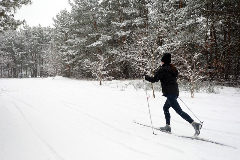 Polacy rzucili się na narty biegowe. W tym roku jest ogromne zainteresowanie.