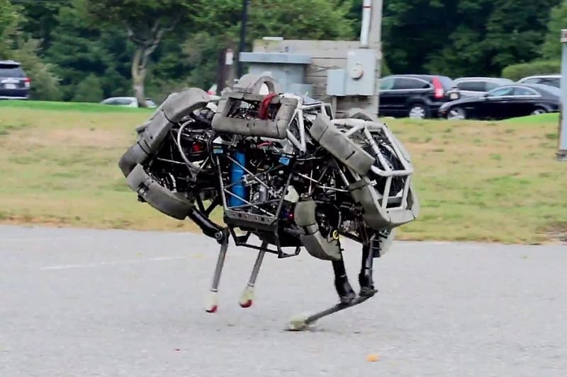 WildCat to jeden z najlepszych projektów Boston Dynamics, w które zainwestowało Google.