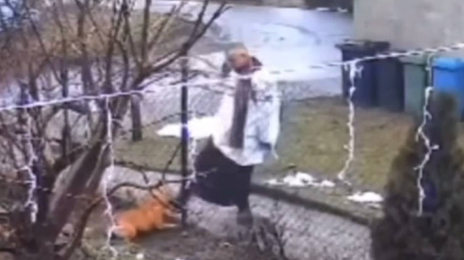 Ksiądz zaatakował psa przez płot. Skandaliczne nagranie [WIDEO]