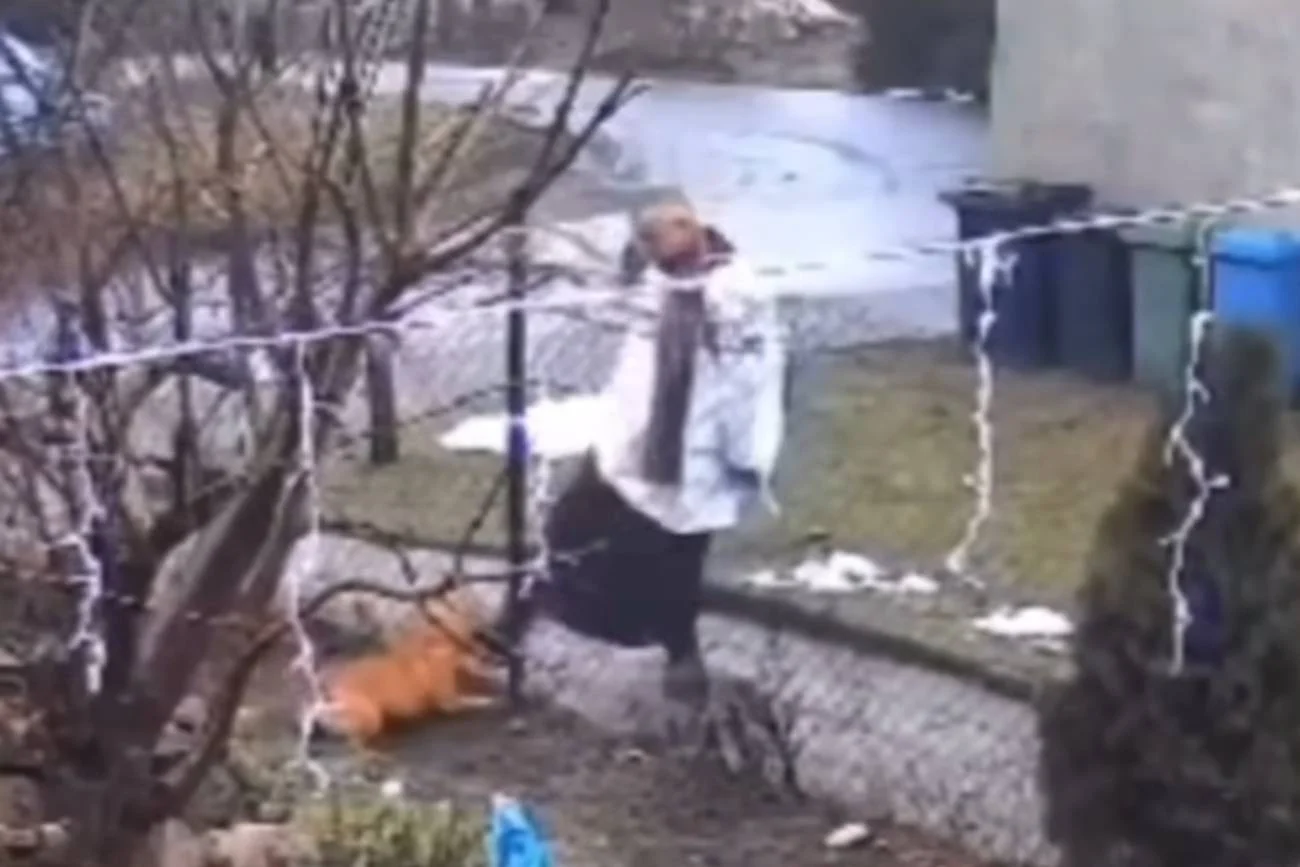 Ksiądz zaatakował psa przez płot. Skandaliczne nagranie [WIDEO]