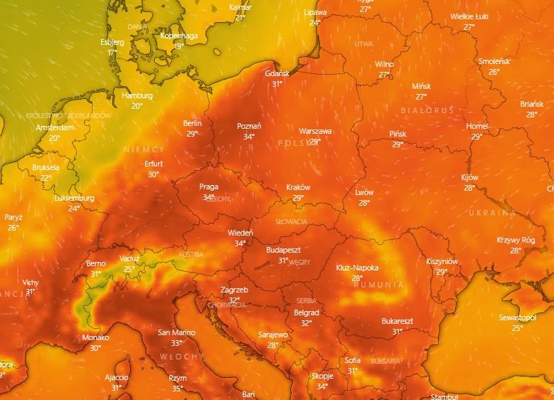 Pogoda długoterminowa na sierpień 2022.