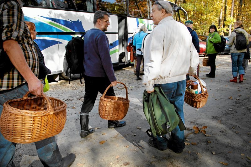 Ci grzybiarze wiedzą z czym chodzimy do lasu. Jeśli chcemy się podtruć lepiej zbierać grzyby do tzw. reklamówki. Nie będziemy też rozsiewać zarodników grzybów. W następnym sezonie nie wyrośnie taka obfitość.