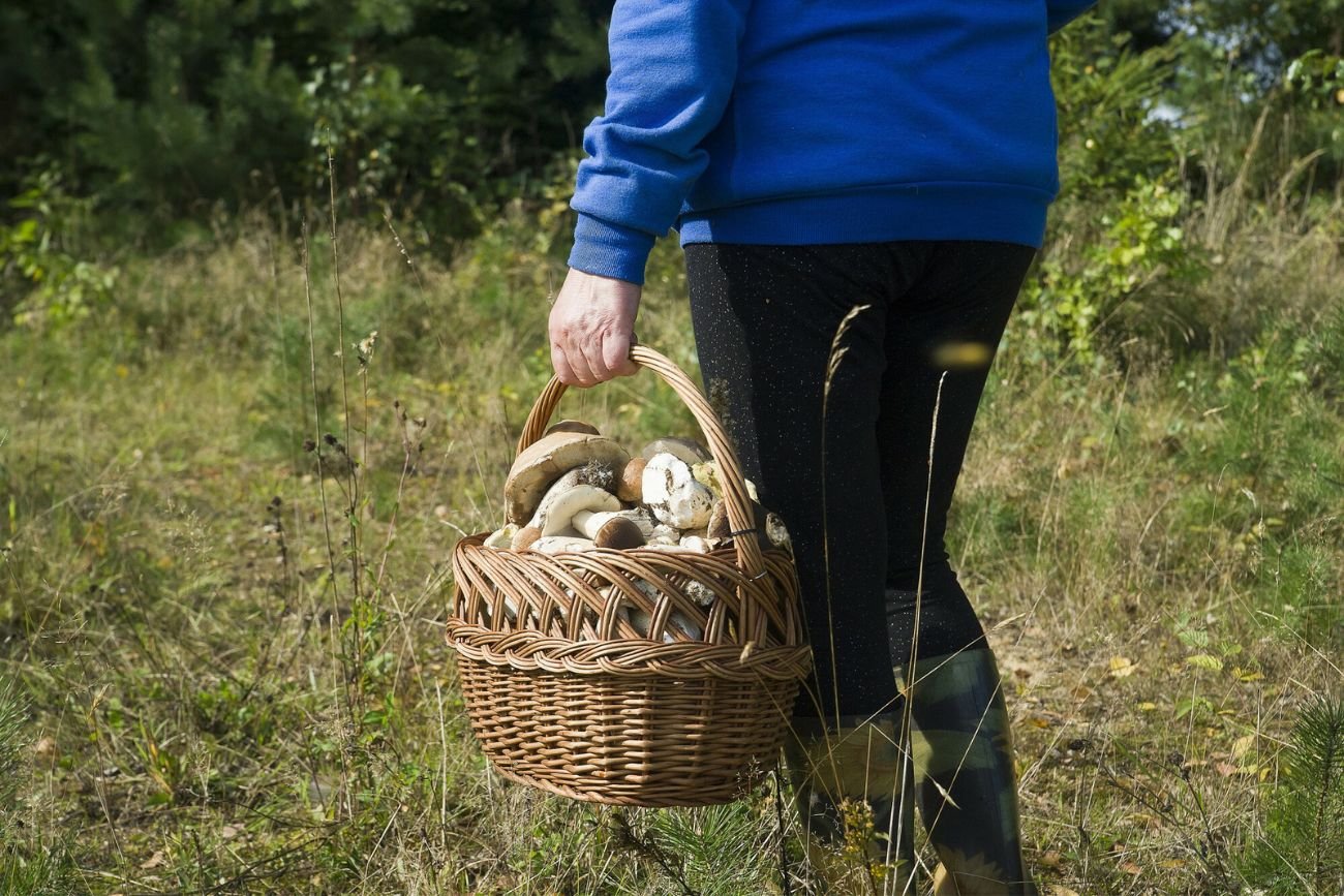 Tragiczny finał poszukiwań 58-latki z Międzyrzeca Podlaskiego. Znaleziono ciało kobiety.