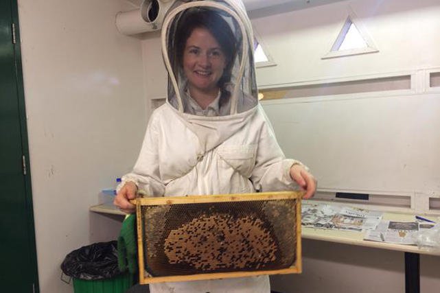 Dobrze, że te pszczoły są samicami, bo inaczej ta laborantka mogłaby się w nich zakochać!