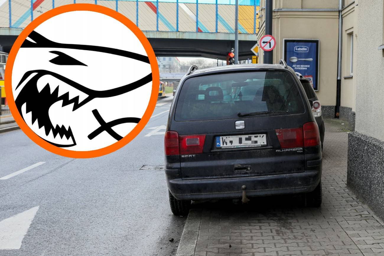 Co oznacza naklejka rekina na aucie? Naklejka listek na aucie