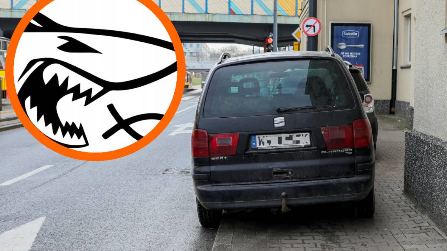 Co oznacza naklejka rekina na aucie? Naklejka listek na aucie
