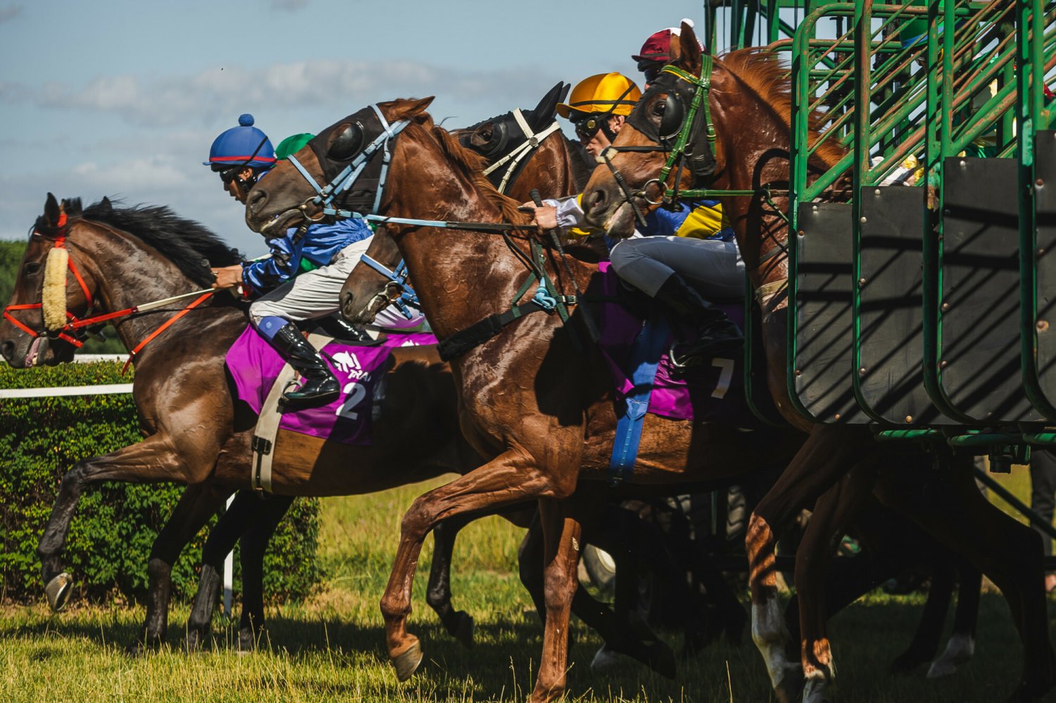 Zdjęcie jest ilustracją do tekstu.