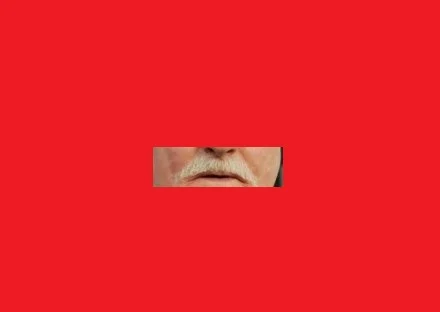 Lech Wałęsa. Same wąsy.