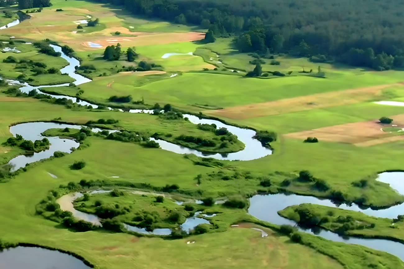 Rzeka Liwiec – obszar Natura 2000 zlokalizowany w pobliżu zakładu produkcyjnego Hochland Polska w Węgrowie.