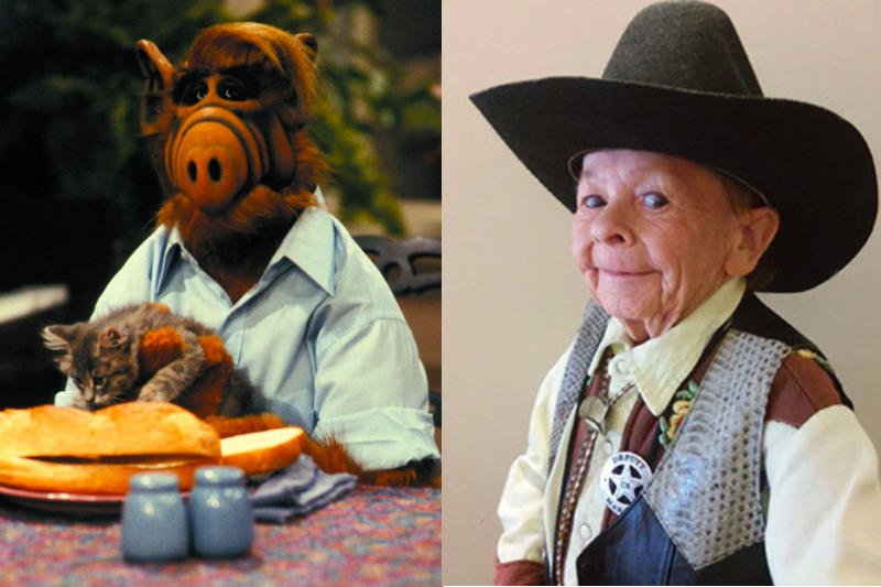 Mihaly 'Michu' Meszaros przez kilka lat wcielał się w rolę Alfa.