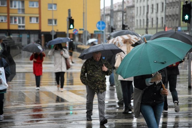 Białe święta? Niestety, według synoptyków w Wigilię należy się spodziewać raczej jesiennej aury, ma być ciepło z przelotnymi opadami deszczu.