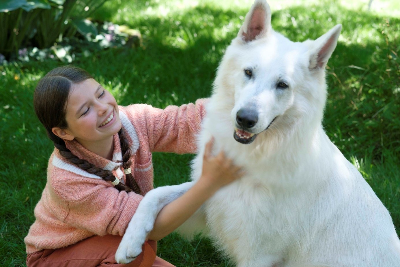 Liliana Zajbert gra Zuzię, a Lampo aż trzy owczarki szwajcarskie