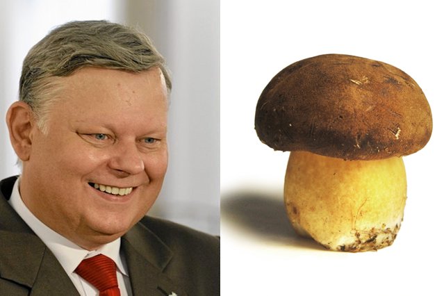 Marek Suski uważa, że za sytuacją w warszawskim samorządzie stoją grzyby.