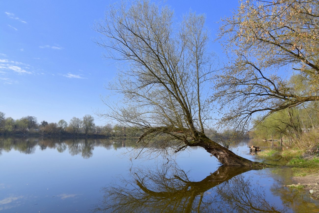 Przeprowadzono sekcję zwłok ciał matki i córki, które znaleziono nad Narwią.