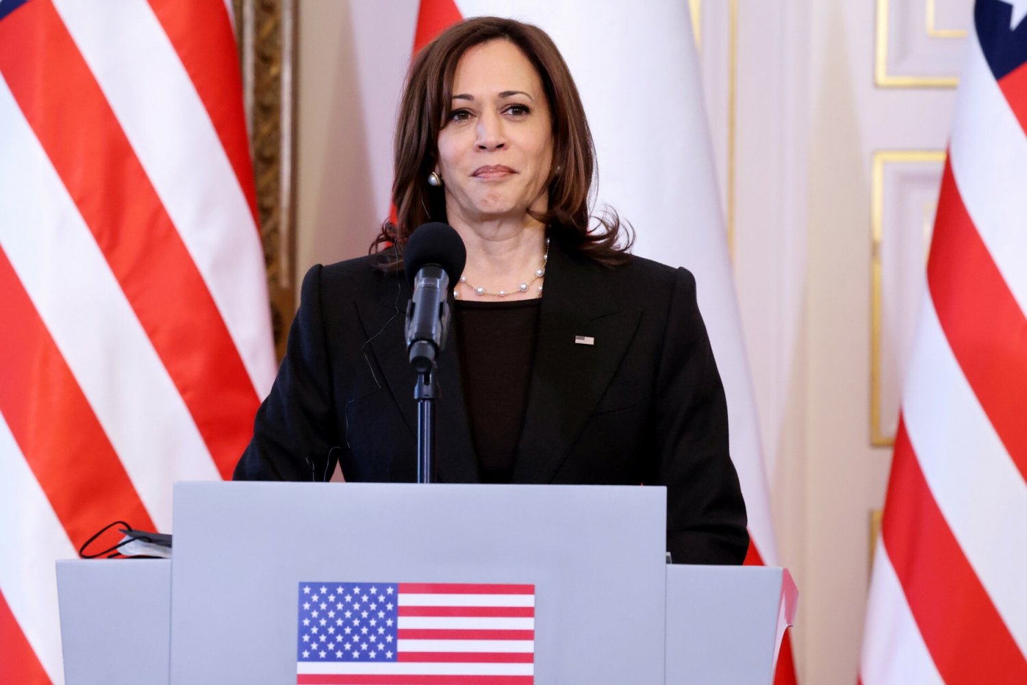 Patrioty są już w Polsce. Ogłosiła to Kamala Harris.