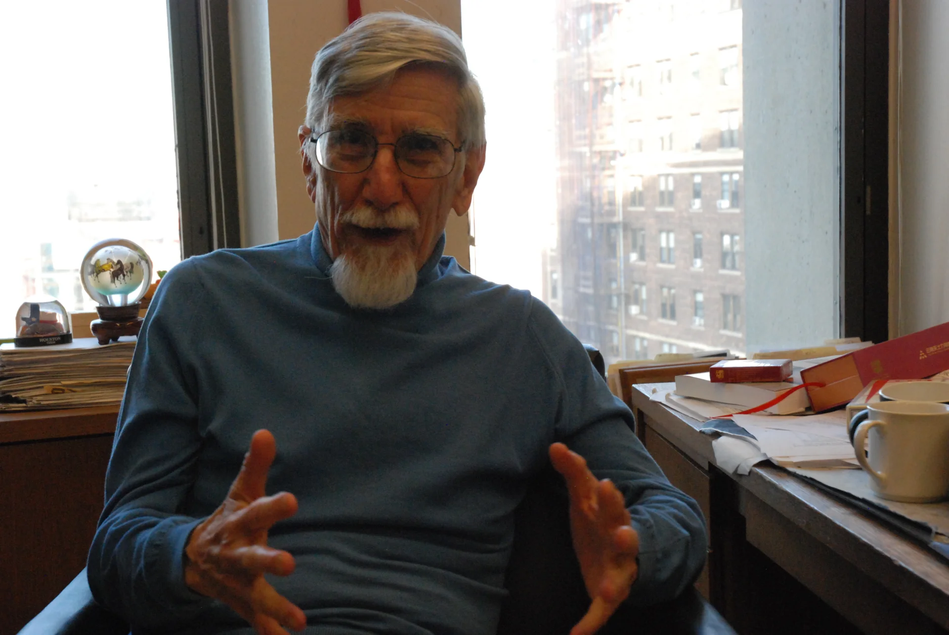 Profesor Robert Jervis