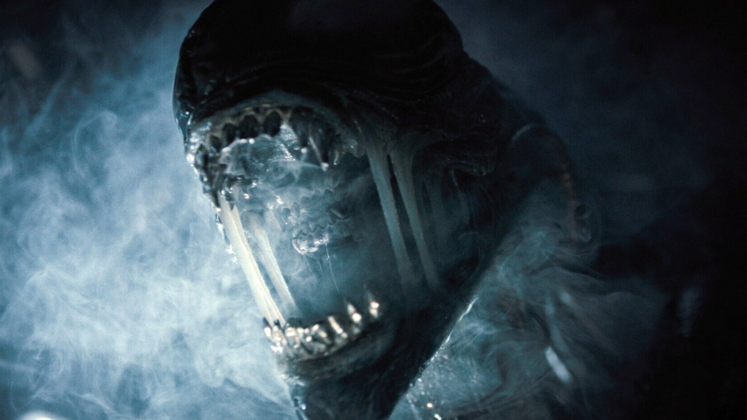 Strzeżcie się nowego "Obcego". W tym teaserze ksenomorf zmierza w kierunku Ziemi Nowy teaser serialu "Alien: Earth". Obcy zmierza w kierunku Ziemi