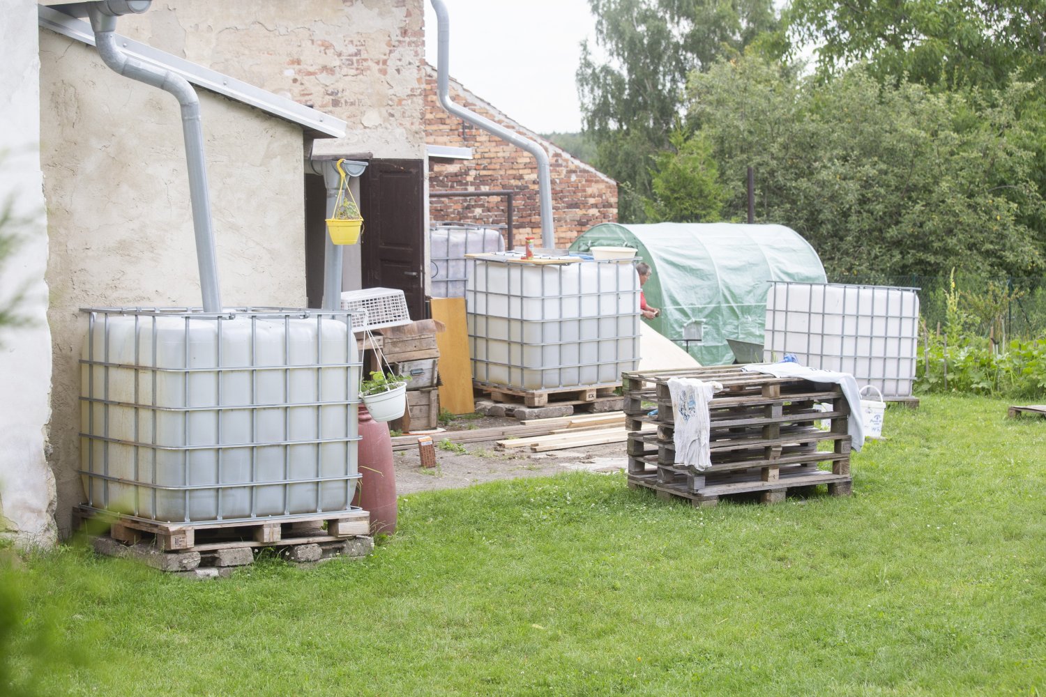 Mówią, iż za podlewanie deszczówką będzie tam grozić więzienie. Oto jaka jest prawda