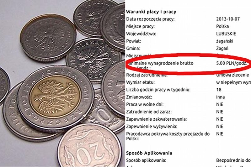 5 zł za godzinę – niskie stawki godzinowe często pojawiają się w ofertach urzędów pracy