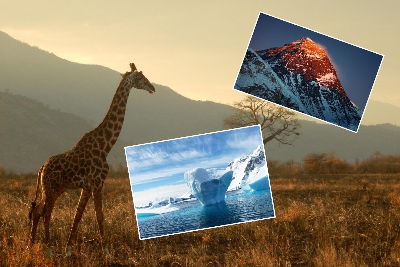 Trekking z gorylami i wycieczka na Antarktydę to tylko niektóre z najdroższych atrakcji na świecie