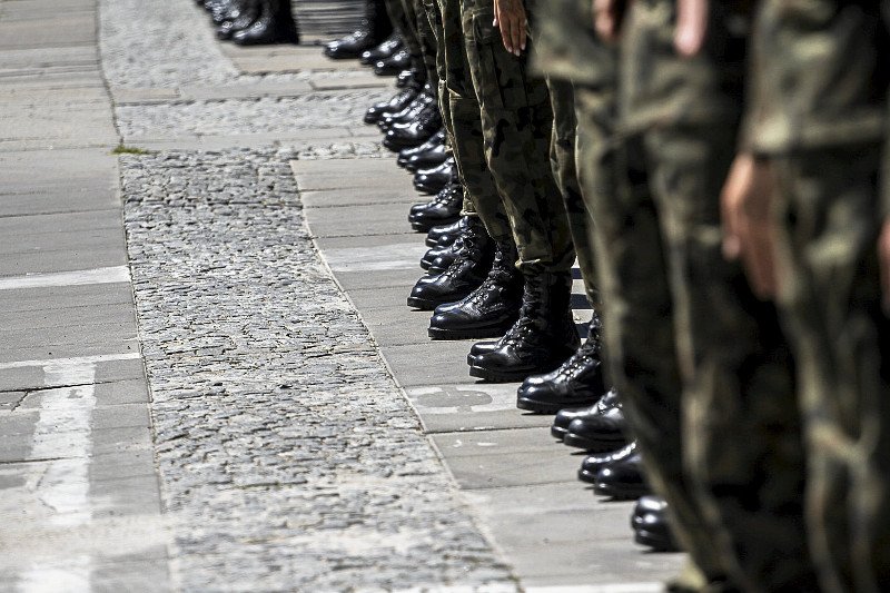 Żołnierze w paradzie zawsze budzą zachwyt. Wielu jednak wiesz psy, szczególnie na ojcach pracujących w wojsku. Często te opinie są przesadzone.