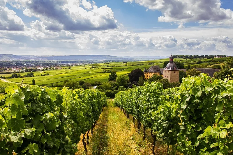 Rheingau, region Niemiec na prawym brzegu środkowego Renu