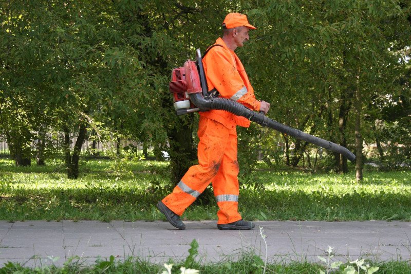 Zbliża się sezon na dmuchawy do liści. Będzie głośno!